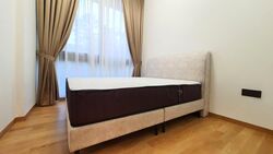 Peak Residence (D11), Condominium #588642531